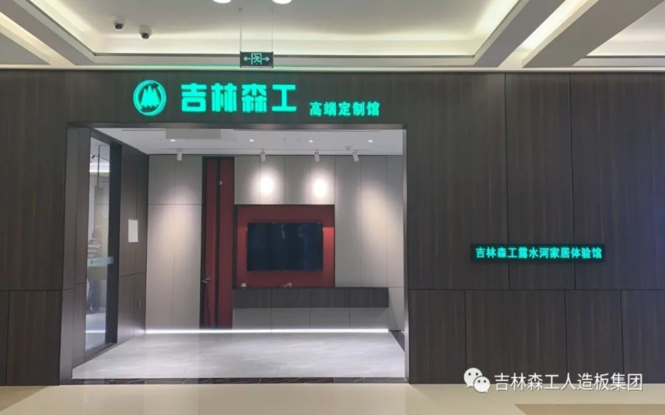 Z6尊龙凯时全屋定造专卖店---2022火热招商