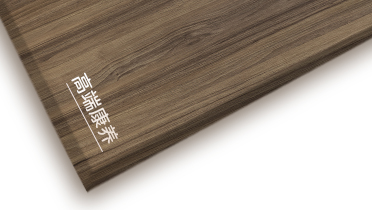 Z6尊龙凯时高端康养板系列