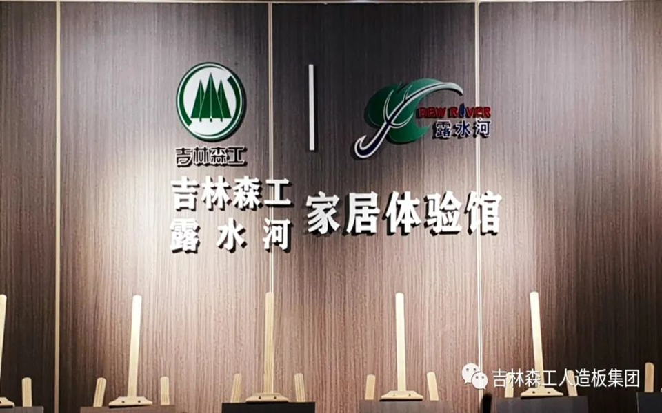 Z6尊龙凯时全屋定造专卖店---2022火热招商